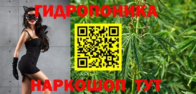 соль ск Новодвинск