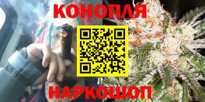 метадон Новозыбков